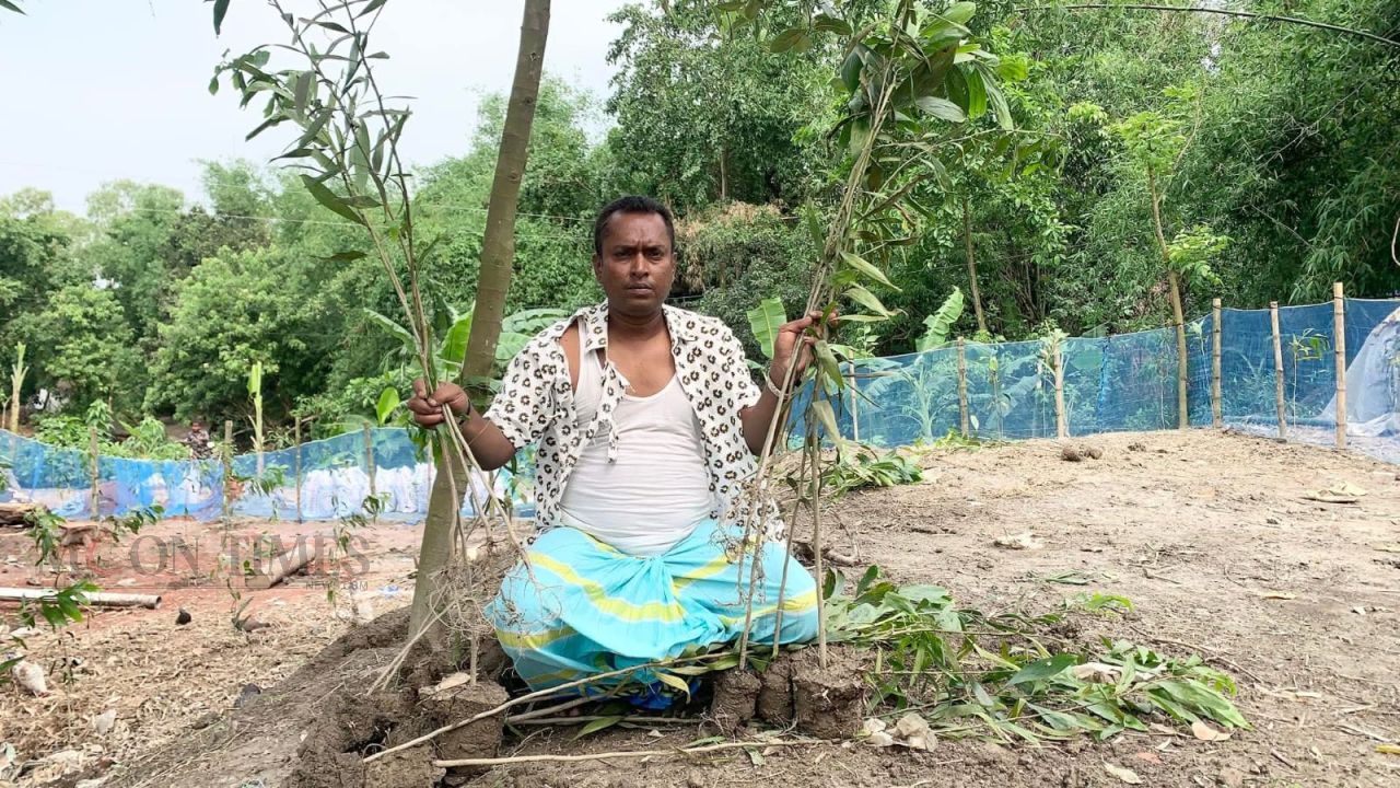 গাছ লাগানোকে কেন্দ্র করে ভাই বোনের সংঘর্ষ, উভয়ের বিরুদ্ধে মারধরের অভিযোগ