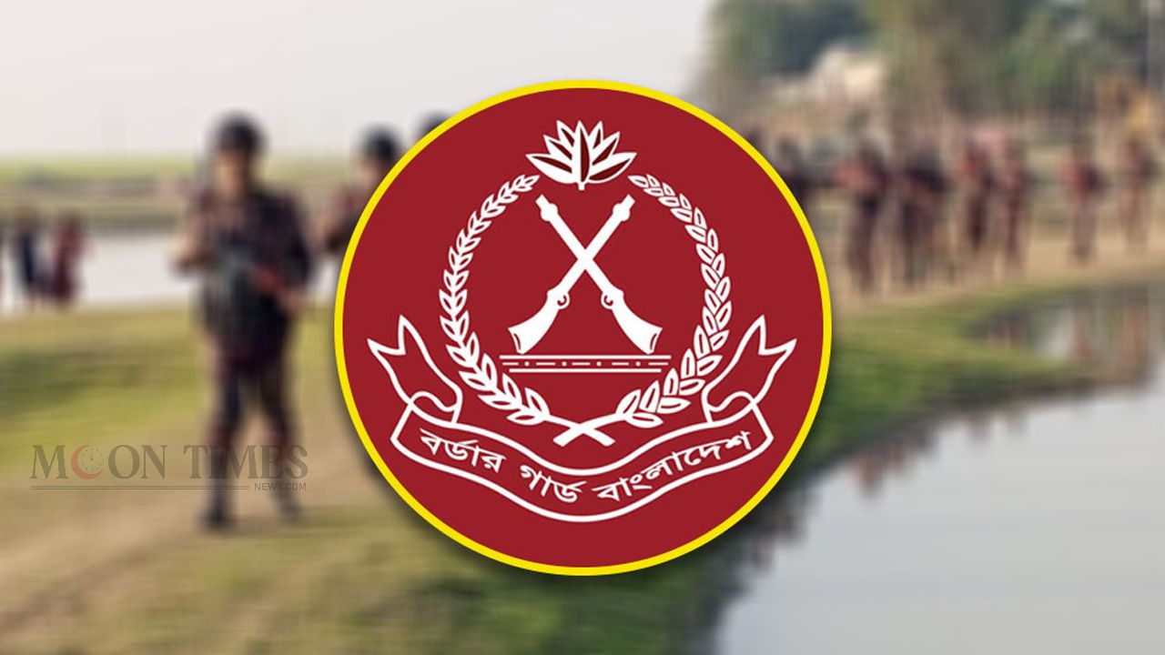 হিলি সীমান্তে ‘কড়া নজরদারি’, ভারতীয় গরু প্রবেশ ঠেকাতে তৎপর বিজিবি